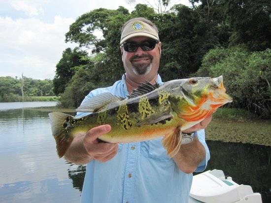 Fishing boat on the Panama Canal with lush tropical surroundings